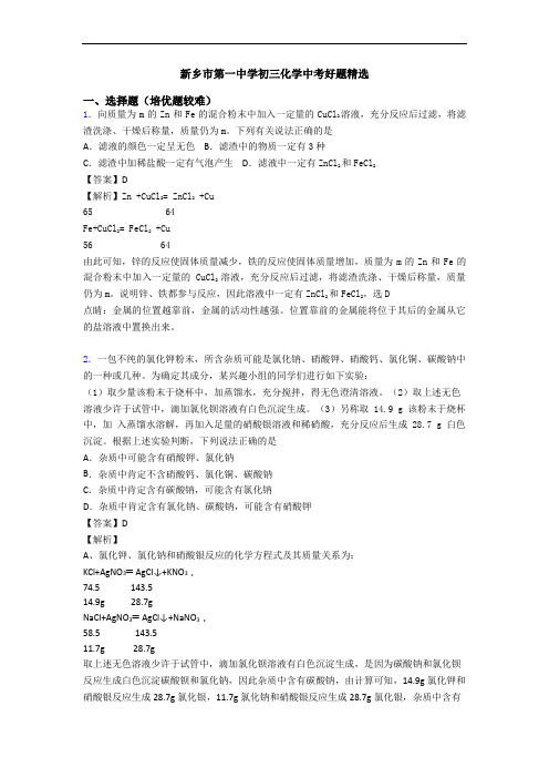 新乡市第一中学初三化学中考好题精选