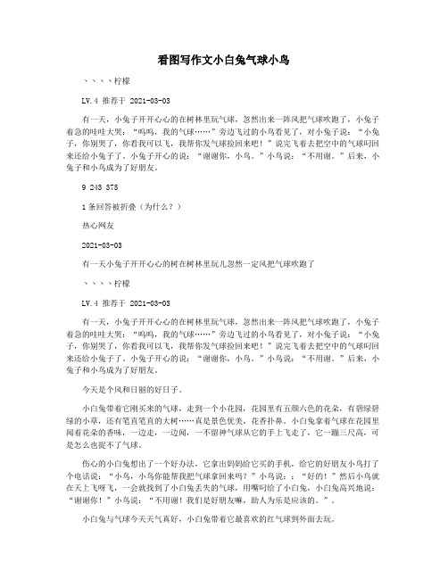 看图写作文小白兔气球小鸟