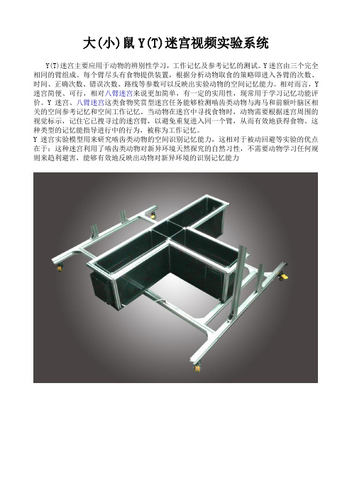 MSY-1型T(Y)迷宫视频实验系统说明书
