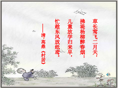 风筝 (14)