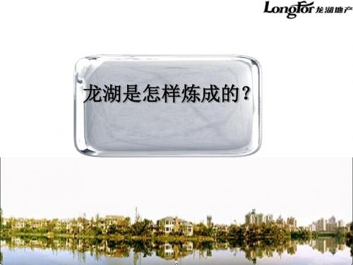 解读龙湖龙湖是怎样炼成的案例106577888
