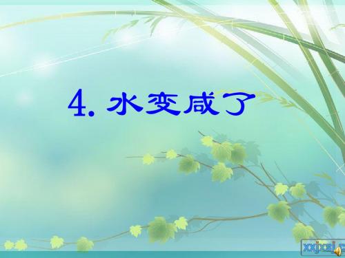 4 水变咸了