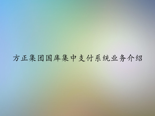 方正集团国库集中支付系统业务介绍