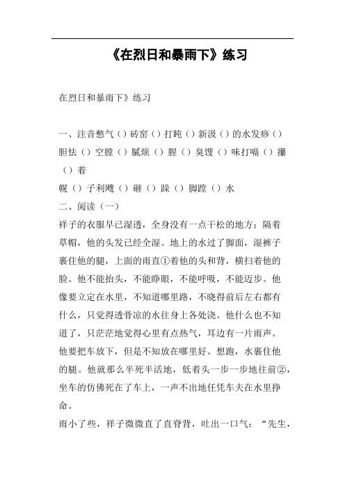 《在烈日和暴雨下》练习