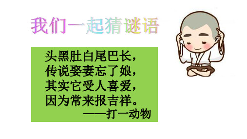 9枫树上的喜鹊(公开课课件)