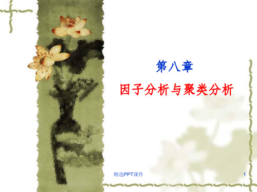 因子分析与聚类分析ppt课件