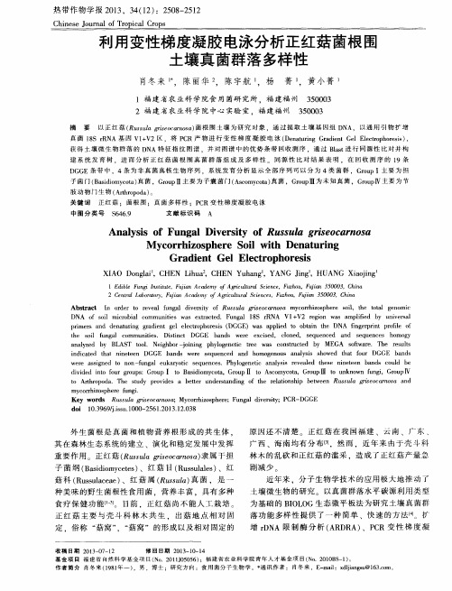利用变性梯度凝胶电泳分析正红菇菌根围土壤真菌群落多样性