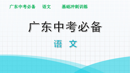 文言文阅读冲刺训练(七)讲练—广东省2021届中考语文分类复习ppt精品课件