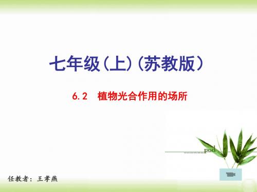 苏教版初中生物七上第3单元第六章第二节《植物光和作用的场所》课件 (共25张ppt)(共25张PPT)