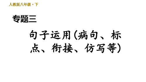 统编版语文八年级下册复习课件专题三 句子运用(病句、标点、衔接、仿写等)