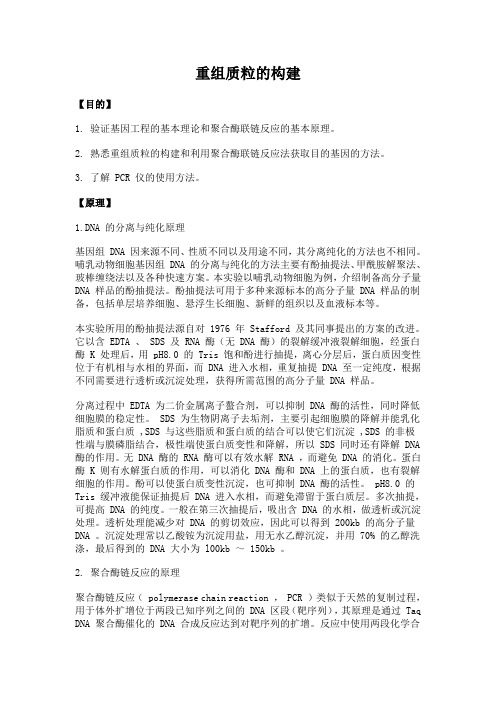 24 生物化学实验--重组质粒的构建