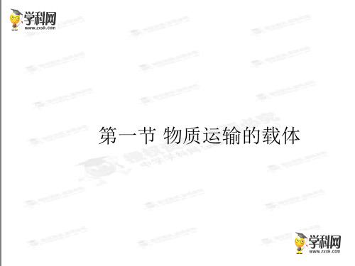 初中生物-2.1 物质运输的载体-2