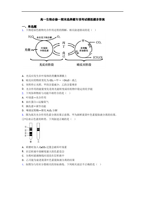 高一生物必修一期末选择题专项考试模拟题含答案