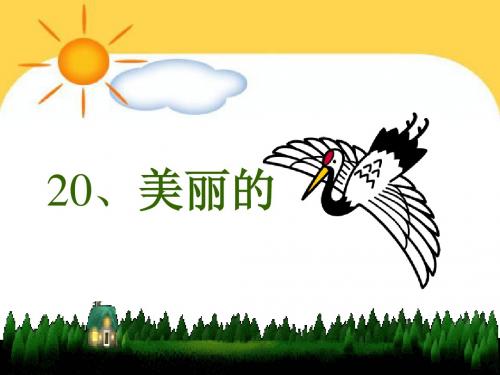 美丽的丹顶鹤