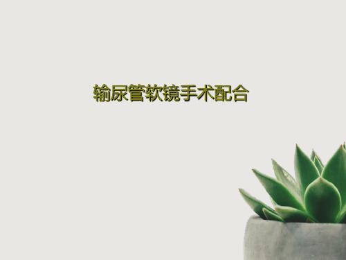 输尿管软镜手术配合34页PPT