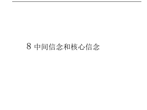 8中间信念和核心信念