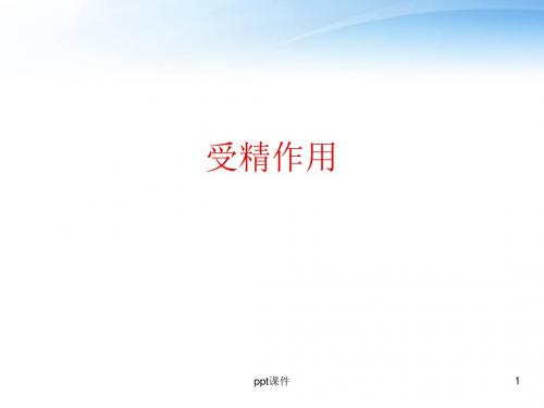 受精作用  ppt课件