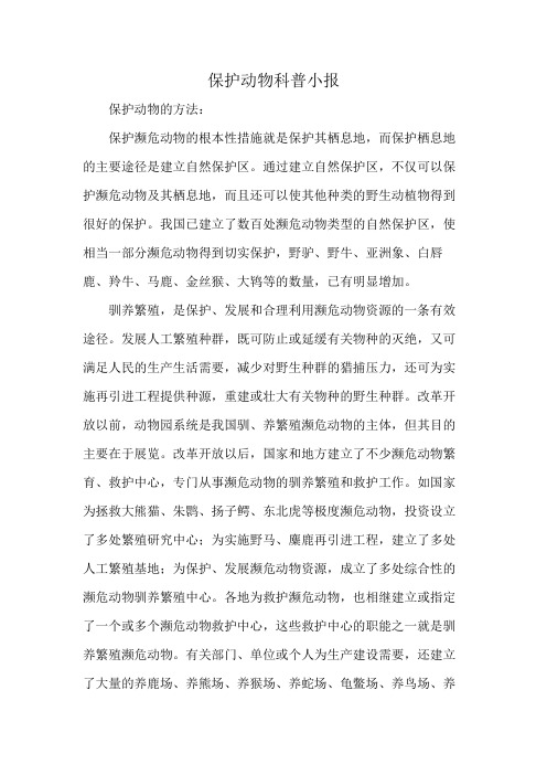 保护动物科普小报