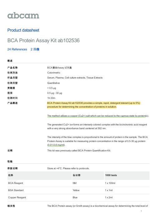 BCA蛋白Assay 试剂盒(ab102536)