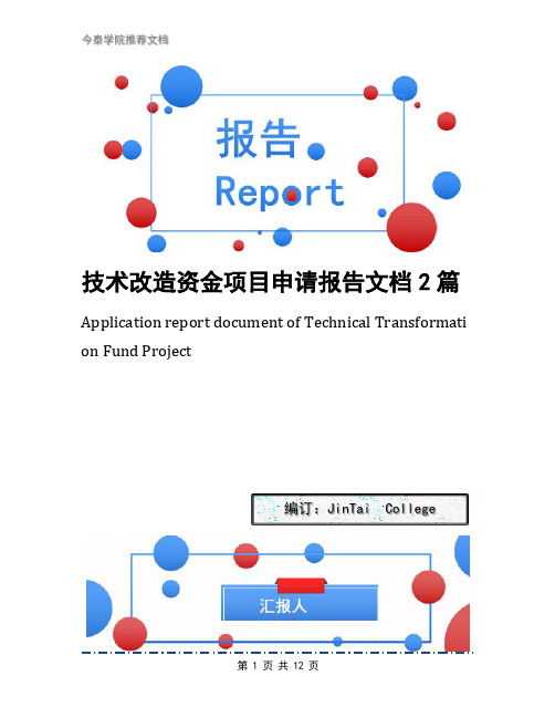 技术改造资金项目申请报告文档2篇