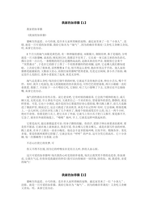 我家的加菲猫作文
