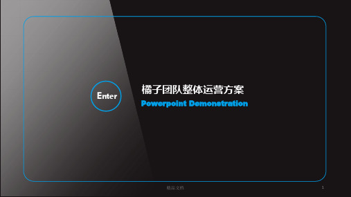 完整版整体运营方案.ppt