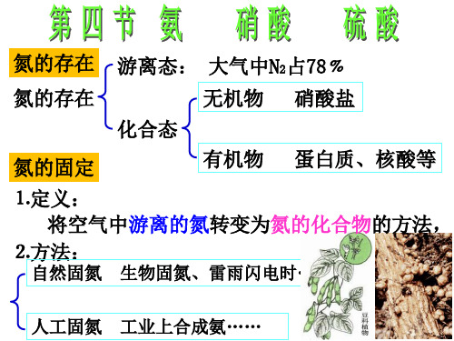 4-4 氨 硝酸 硫酸