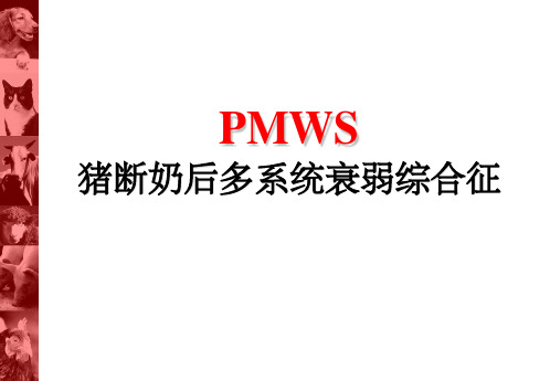 断奶仔猪多系统衰竭综合症