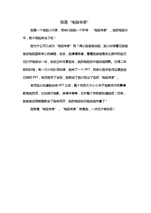 我是“电脑专家”