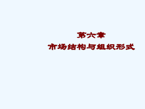 第六章市场结构与组织形式