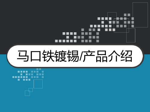 马口铁镀锡产品介绍 PPT