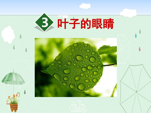 《叶子的眼睛》PPT课件