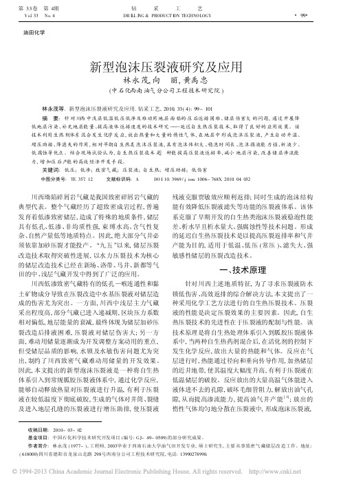 新型泡沫压裂液研究及应用_林永茂
