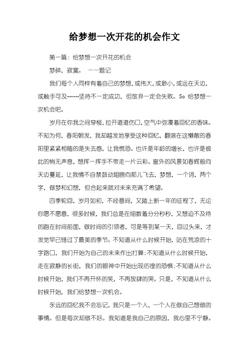 给梦想一次开花的机会作文