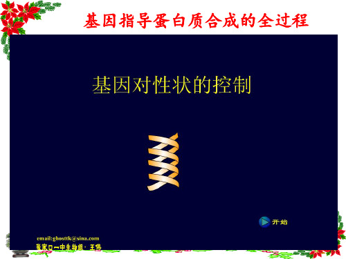 遗传信息的翻译