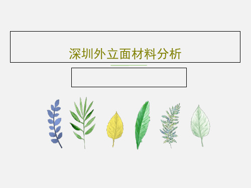 深圳外立面材料分析共25页PPT