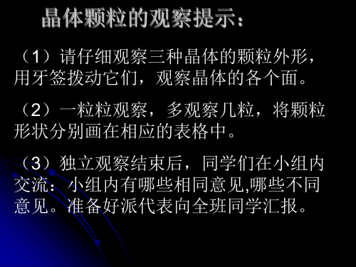 教科版六年级下册科学1.3 放大镜下的晶体课件