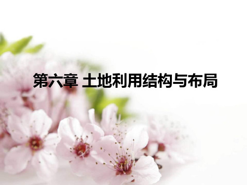 第六章 土地利用结构与布局