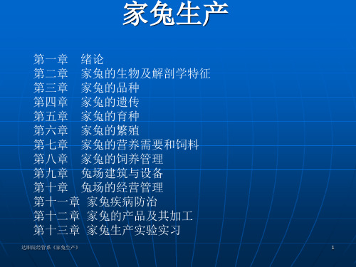 第一章 绪论