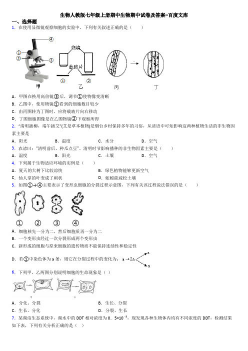 生物人教版七年级上册期中生物期中试卷及答案-百度文库