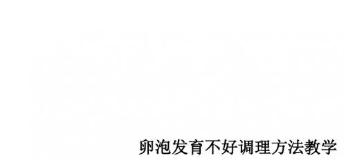 卵泡发育不好调理方法ppt课件