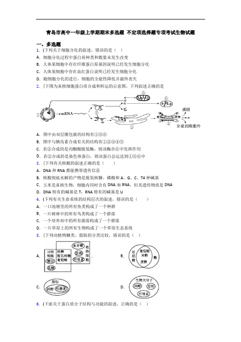 青岛市高中一年级上学期期末多选题 不定项选择题专项考试生物试题