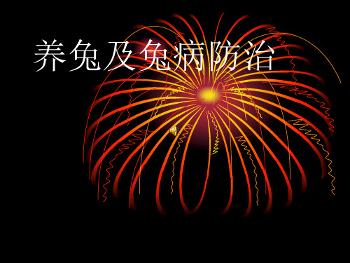 兔病防治课见
