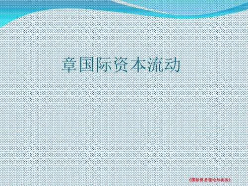国际资本流动与跨国公司概述(ppt28张)