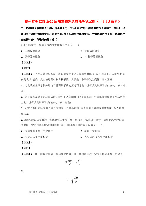 贵州省市2020届高三物理适应性考试试题(一)(含解析)