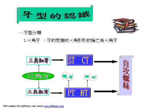 牙型的认识