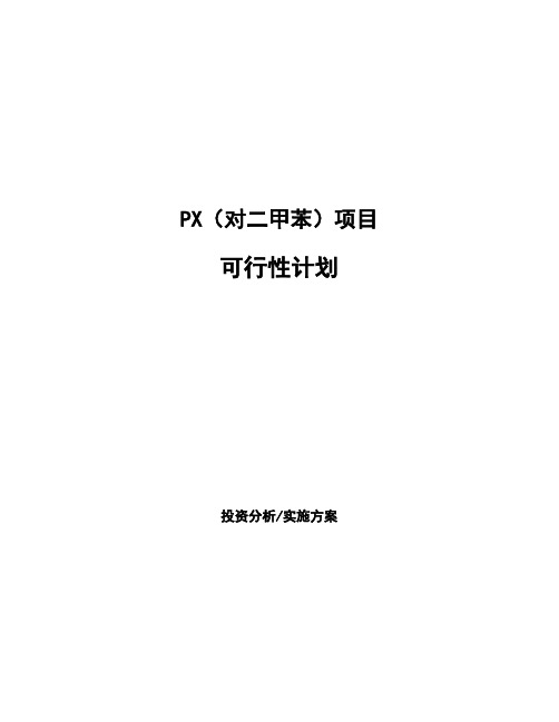 PX(对二甲苯)项目可行性计划