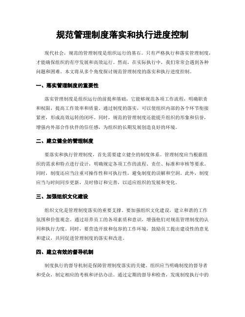 规范管理制度落实和执行进度控制