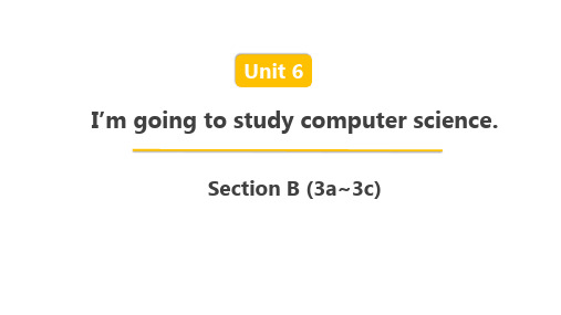人教新目标英语八年级上 Unit 6 Section B 第3课时(3a~3c)