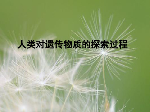 人类对遗传物质的探索过程PPT教学课件